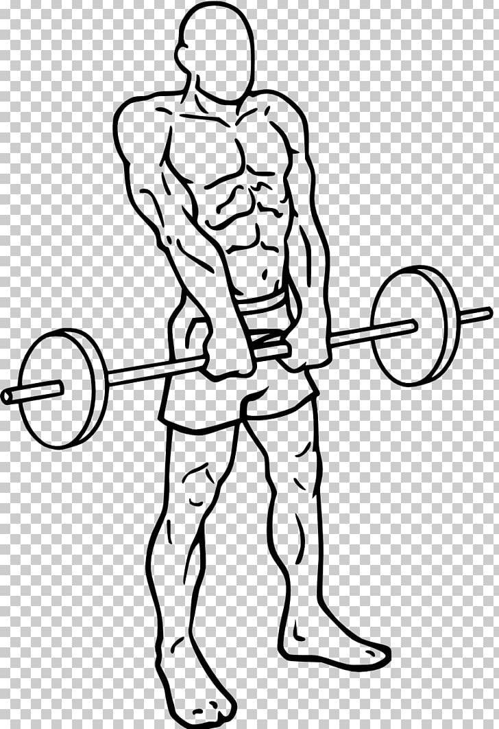Exercise Fitness Centre Muscle Training Shoulder PNG, Clipart, Abdomen, Area, Arm, Artwork, Barb Free PNG Download