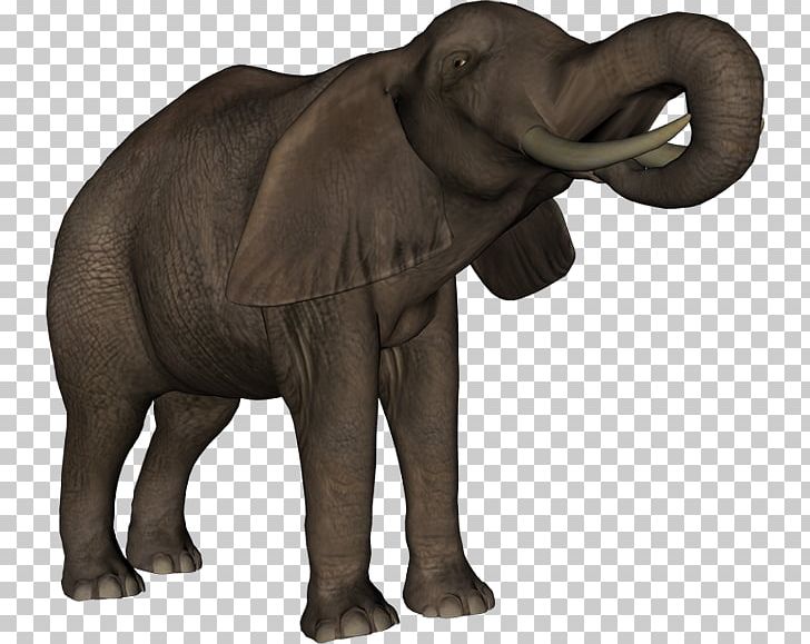 Indian Elephant African Elephant Elephantidae Diary Blog PNG, Clipart, Adobe Flash, African Elephant, Animal, Beauty, Blog Free PNG Download