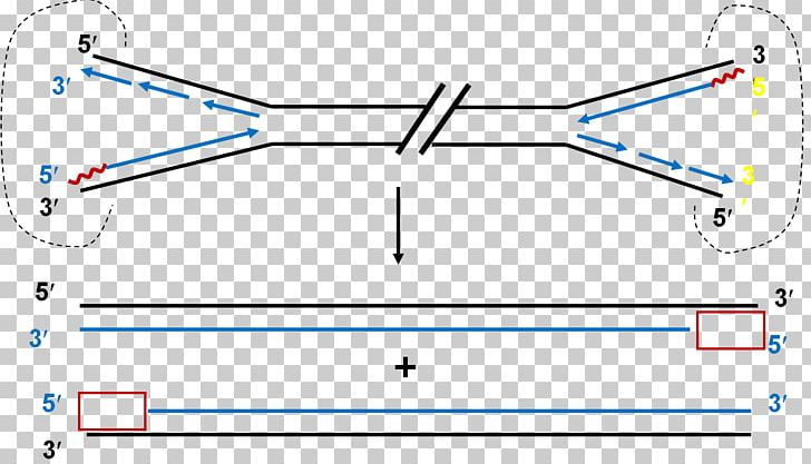 Line Point Angle Diagram PNG, Clipart, Angle, Area, Art, Blue, Circle Free PNG Download