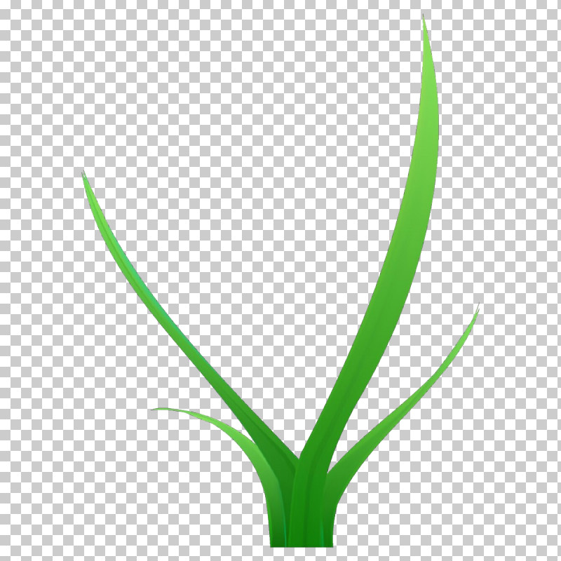 Green Leaf Plant Flower Grass PNG, Clipart, Flower, Grass, Grass Family, Green, Leaf Free PNG Download