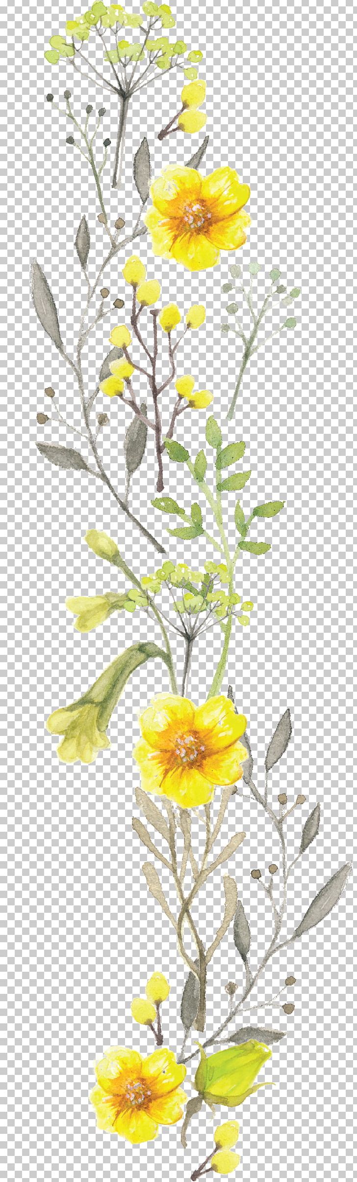 Flower Floral Design PNG, Clipart, Branch, Chrysanths, Color, Cut Flowers, Download Free PNG Download