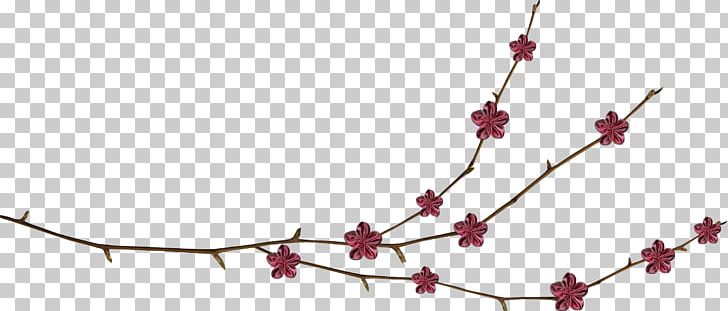 Plant Stem Vine Tree PNG, Clipart, 56com, Beige, Blossom, Branch, Brown Free PNG Download