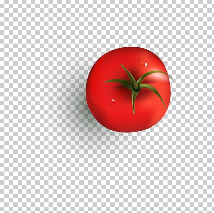 Tomato Juice Cherry Tomato Tomato Soup Sandwich PNG, Clipart, Cherry, Computer Wallpaper, Download, Food, Fruit Free PNG Download