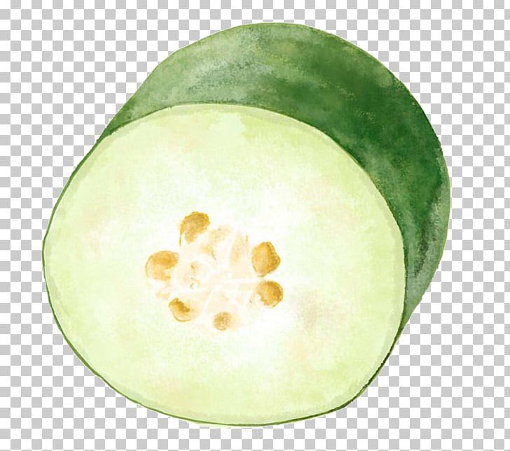 Wax Gourd Seafood Vegetable Melon PNG, Clipart, Bitter Melon, Braising, Cellophane Noodles, Cucumber Gourd And Melon Family, Eating Free PNG Download