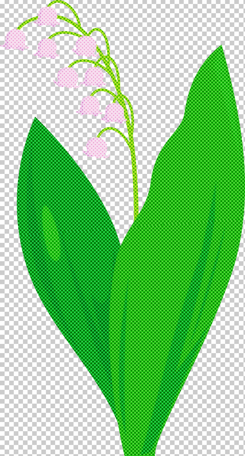 Lily Bell Flower PNG, Clipart, Anthurium, Flower, Grass, Green, Heart Free PNG Download