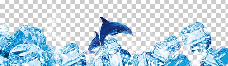 Blue Ice Dolphin Typeface PNG, Clipart, Animals, Blue, Blue Ice, Computer Wallpaper, Cool Free PNG Download