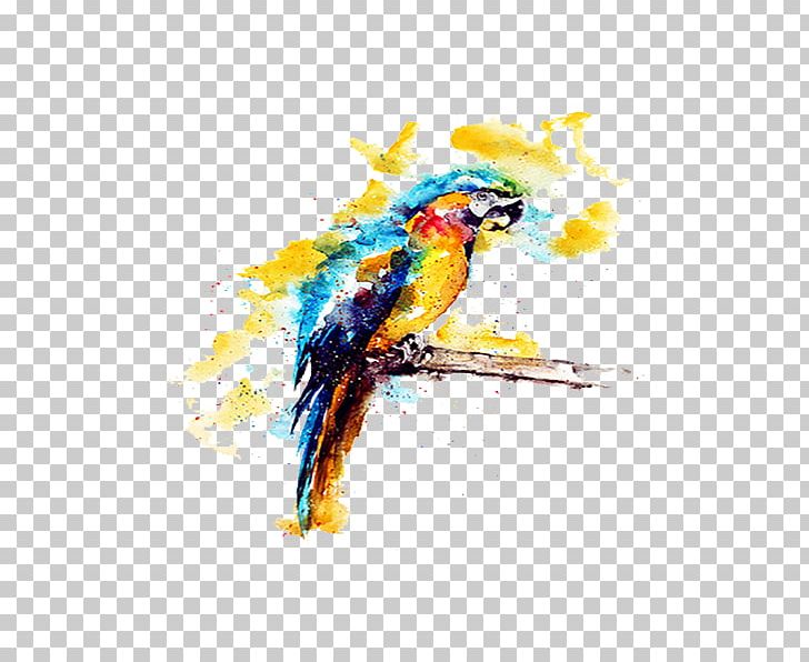 Budgerigar Parrot Watercolor Painting Illustration PNG, Clipart, Animals, Beak, Bird, Bird Supply, Common Pet Parakeet Free PNG Download