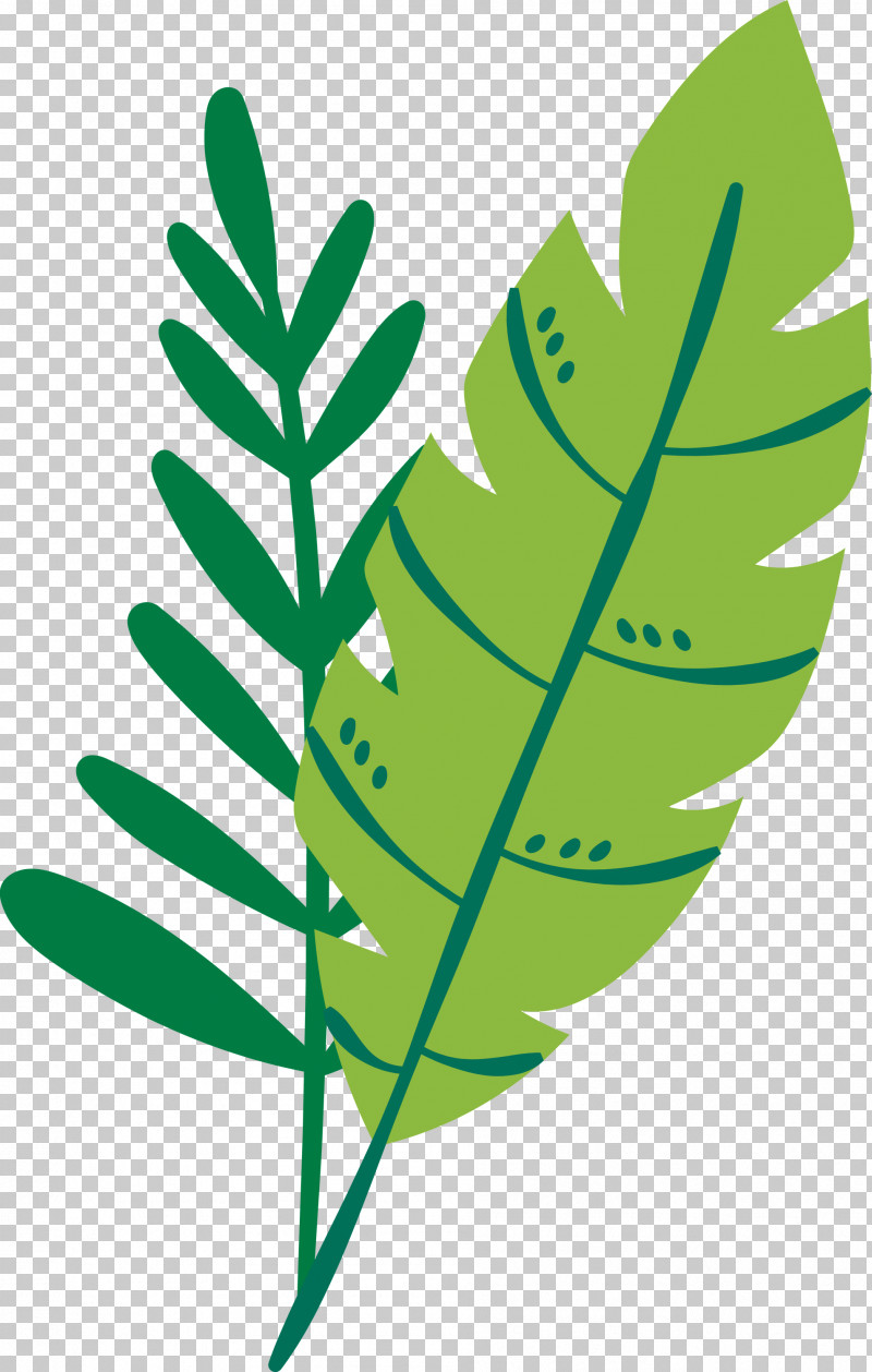 Leaf Plant Stem M-tree Line Tree PNG, Clipart, Biology, Leaf, Line, Mtree, Plants Free PNG Download