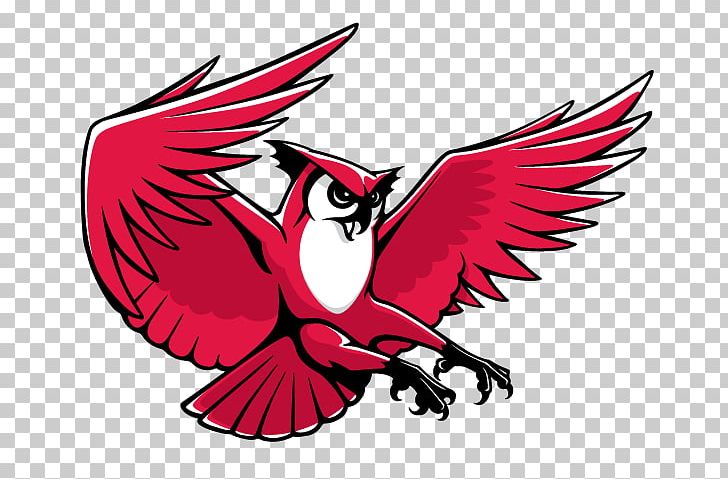 Keene State College Kennesaw State University Keene State Owls Women's Basketball PNG, Clipart,  Free PNG Download