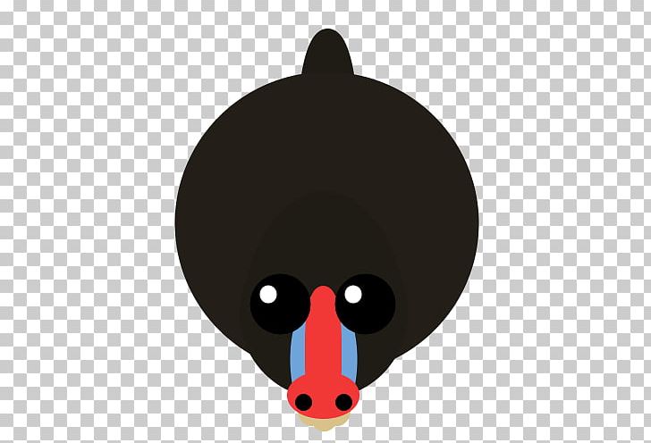 Snout Character Beak PNG, Clipart, Beak, Bowhead Whale, Carnivora, Carnivoran, Character Free PNG Download