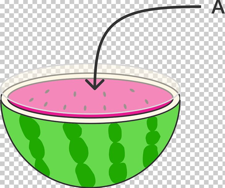 Surface Area Circle Sphere PNG