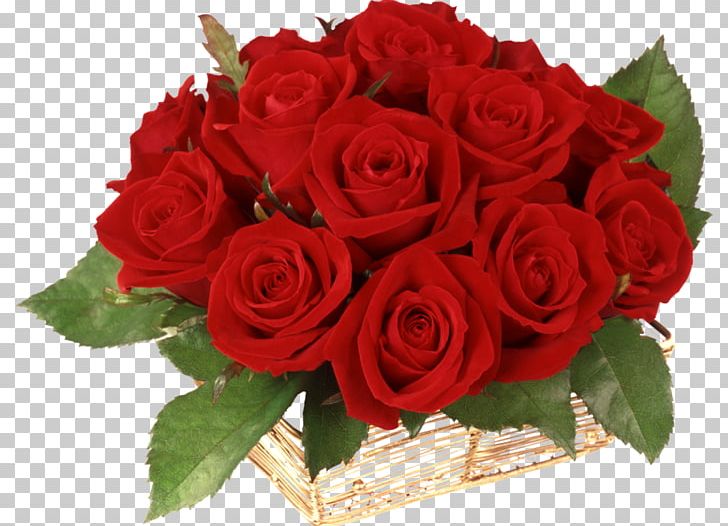 Blue Rose Flower Desktop Red PNG, Clipart, Color, Cut Flowers, Desktop Wallpaper, Floral Design, Floribunda Free PNG Download