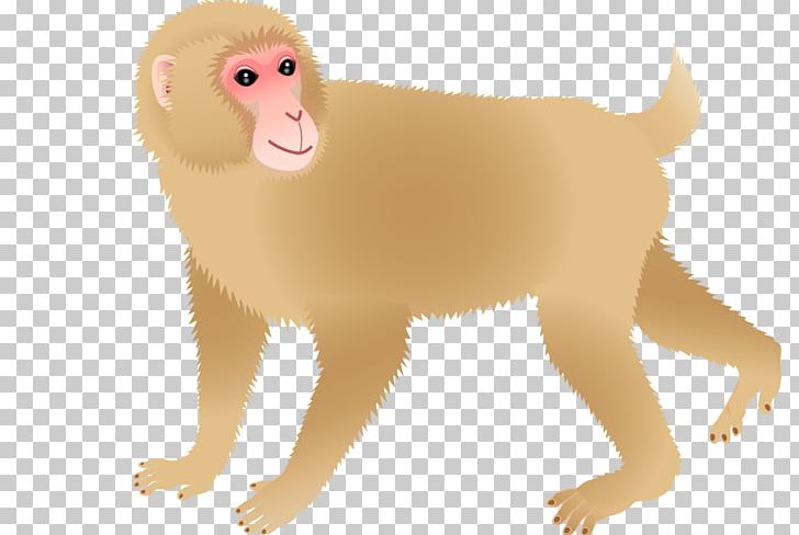 Dog Monkey Cercopithecidae PNG, Clipart, Animal, Animals, Big Cats, Black Monkey, Carnivoran Free PNG Download