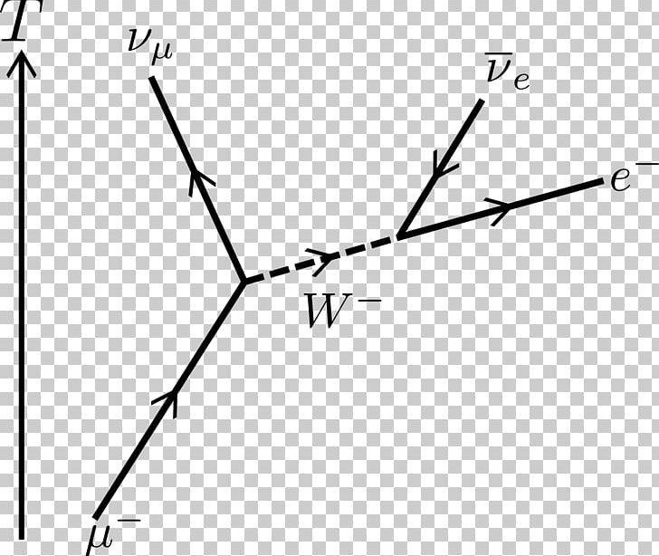 Feynman Diagram Muon Radioactive Decay Electron Neutrino PNG, Clipart, Angle, Area, Black And White, Branch, Circle Free PNG Download