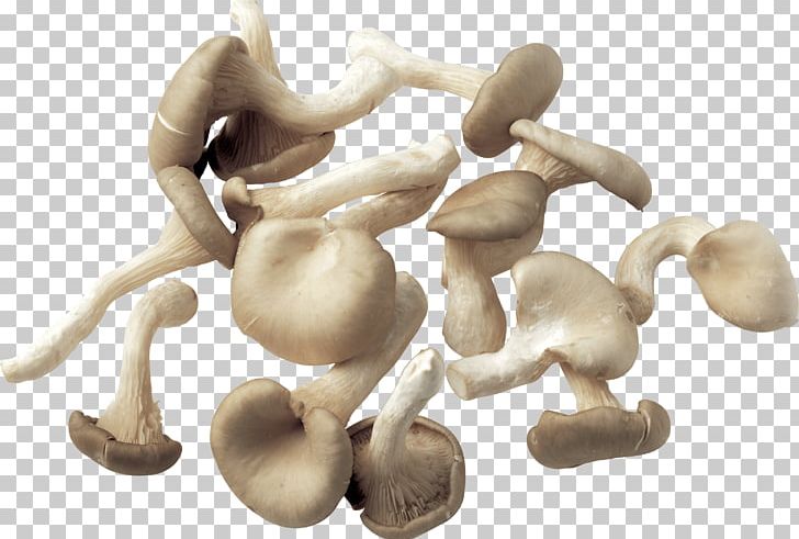 Mushroom Fungus PNG, Clipart, Common Mushroom, Computer Icons, Desktop Wallpaper, Download, Edible Mushroom Free PNG Download