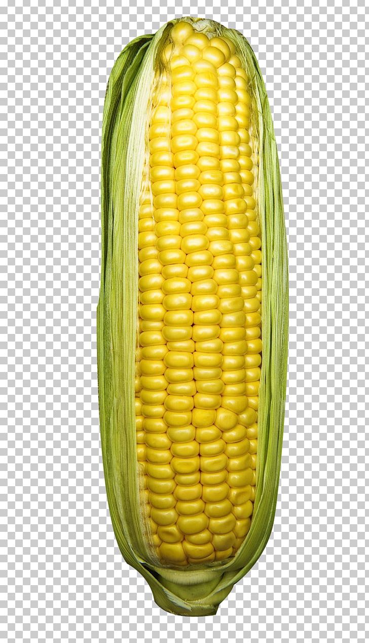 Corn On The Cob Corn Kernel Sweet Corn Commodity Fruit PNG, Clipart, Cartoon Corn, Commodity, Corn, Corn Cartoon, Corn Flakes Free PNG Download