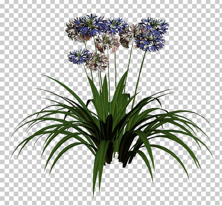 Cut Flowers Hyacinth Plant PNG, Clipart, Color, Computer Software, Cut Flowers, Floristry, Flower Free PNG Download