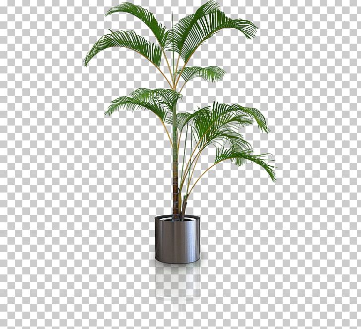 Plant Silhouette Flowerpot PNG, Clipart, Arecaceae, Arecales, Bonsai, Clip Art, Fleur Free PNG Download