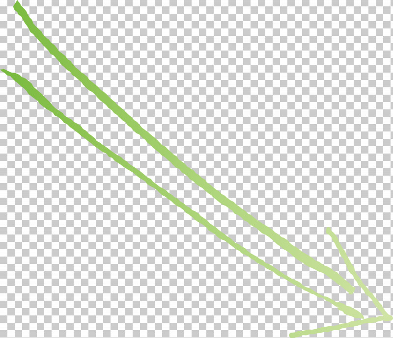 Hand Drawn Arrow PNG, Clipart, Elymus Repens, Grass, Grass Family, Hand Drawn Arrow, Line Free PNG Download