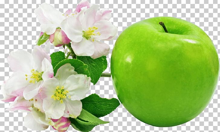 Apple Flower PNG, Clipart, Apple, Blossom, Cherry Blossom, Desktop Wallpaper, Diet Food Free PNG Download