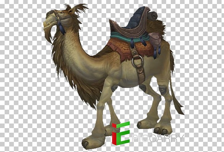 Dromedary Horse World Of Warcraft: Battle For Azeroth World Of Warcraft: Legion Equestrian PNG, Clipart, Animals, Arabian Camel, Blizzard Entertainment, Camel, Camel Like Mammal Free PNG Download