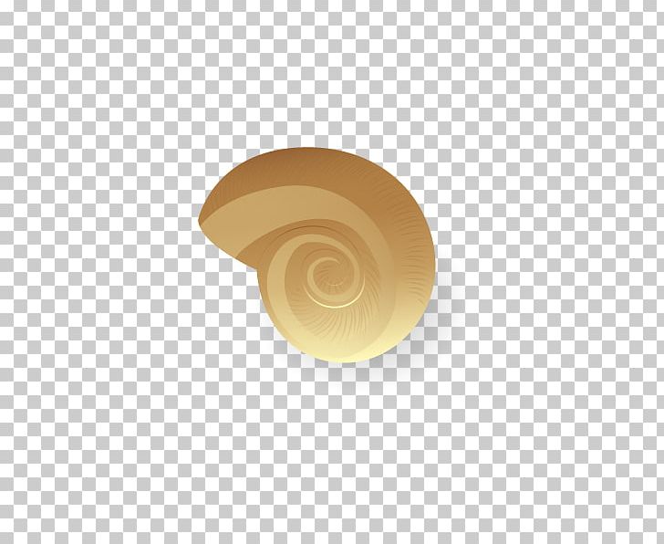 Euclidean Sea Snail PNG, Clipart, Beige, Brown, Cartoon Conch, Circle, Color Free PNG Download