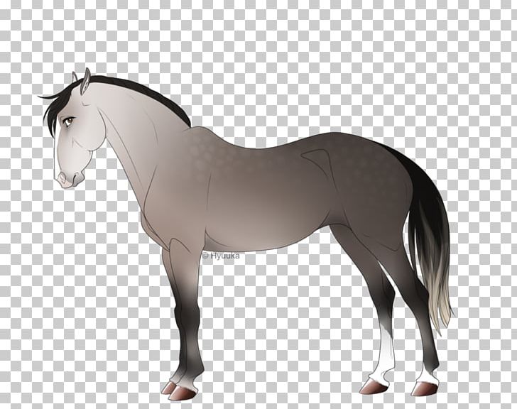 Mane Mustang Stallion Pony Mare PNG, Clipart, Bridle, Halter, Horse, Horse Like Mammal, Horse Supplies Free PNG Download