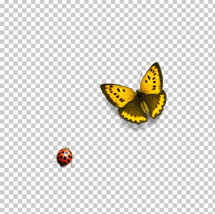 Monarch Butterfly Icon PNG, Clipart, Arthropod, Brush Footed Butterfly, Butterflies, Butterfly, Butterfly Group Free PNG Download