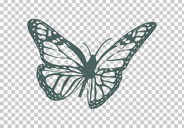 Monarch Butterfly Insect Moth Drawing PNG, Clipart, Animal, Arthropod, Black And White, Brush Footed Butterfly, Butterflies And Moths Free PNG Download