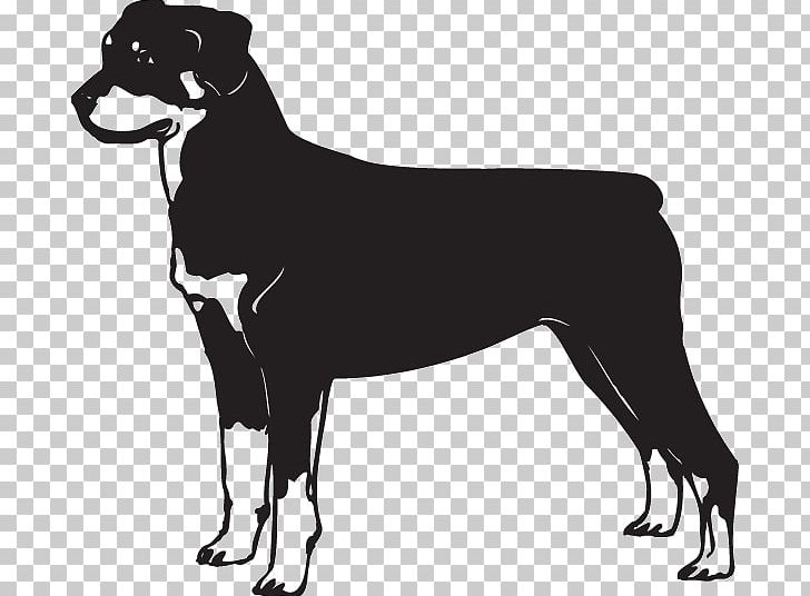 Rottweiler German Shepherd Dobermann Great Dane Bulldog PNG, Clipart, Animals, Black, Breed, Bulldog, Carnivoran Free PNG Download