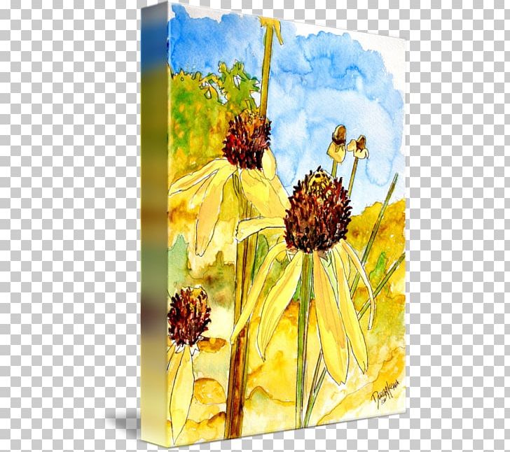Watercolor Painting Yellow Coneflower Art PNG, Clipart, Abstract Art, Art, Canvas, Canvas Print, Coneflower Free PNG Download
