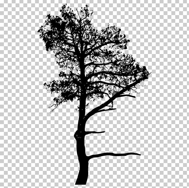 A3B Assessoria Ambiental Silhouette Drawing Art PNG, Clipart, Animals, Art, Black And White, Branch, Drawing Free PNG Download