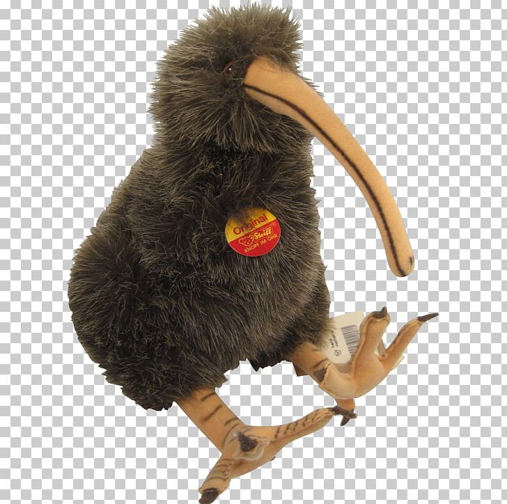 Beak Fur Animal PNG, Clipart, Animal, Animals, Beak, Fur, Kiwi Bird Free PNG Download