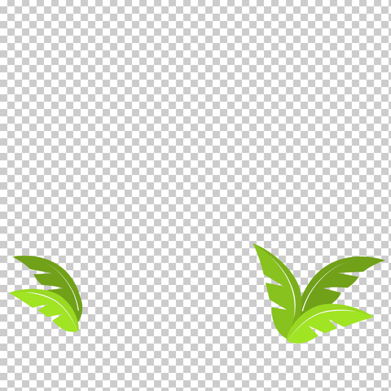 Leaf Plant Stem Tree Green Text PNG, Clipart, Biology, Branching, Green, Leaf, Plants Free PNG Download