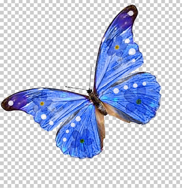 Butterfly Desktop PNG, Clipart, Arthropod, Blue, Brush Footed Butterfly, Butterfly, Centerblog Free PNG Download