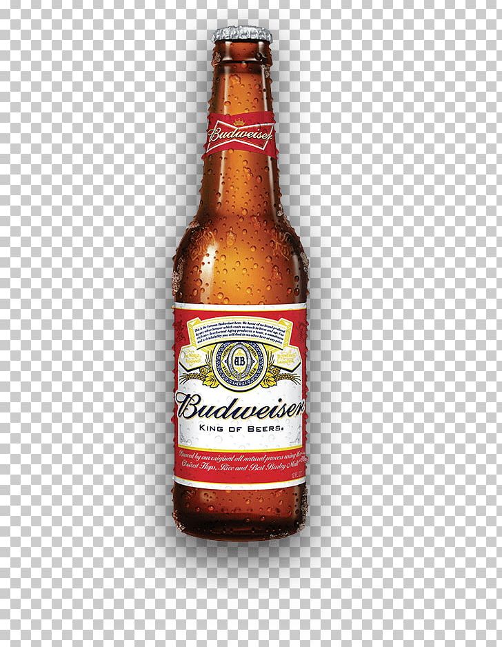 Budweiser Beer Anheuser-Busch Lager Bottle PNG, Clipart, Alcohol By Volume, Alcoholic Beverages, Ale, Anheuserbusch, Anheuserbusch Inbev Free PNG Download