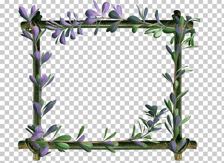 Floral Design Frames Rectangle 8 March PNG, Clipart, 8 March, Art, Book, Branch, Flora Free PNG Download