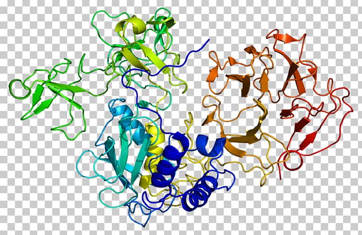 MMP2 Matrix Metalloproteinase Protease Gelatinase Extracellular Matrix PNG, Clipart, Art, Chromosome 16, Circle, Collagenase, Enzyme Free PNG Download