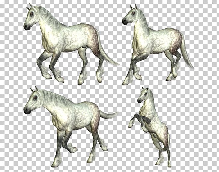 Mustang Foal Stallion Colt Mare PNG, Clipart, Animal, Animal Figure, Colt, Fauna, Foal Free PNG Download