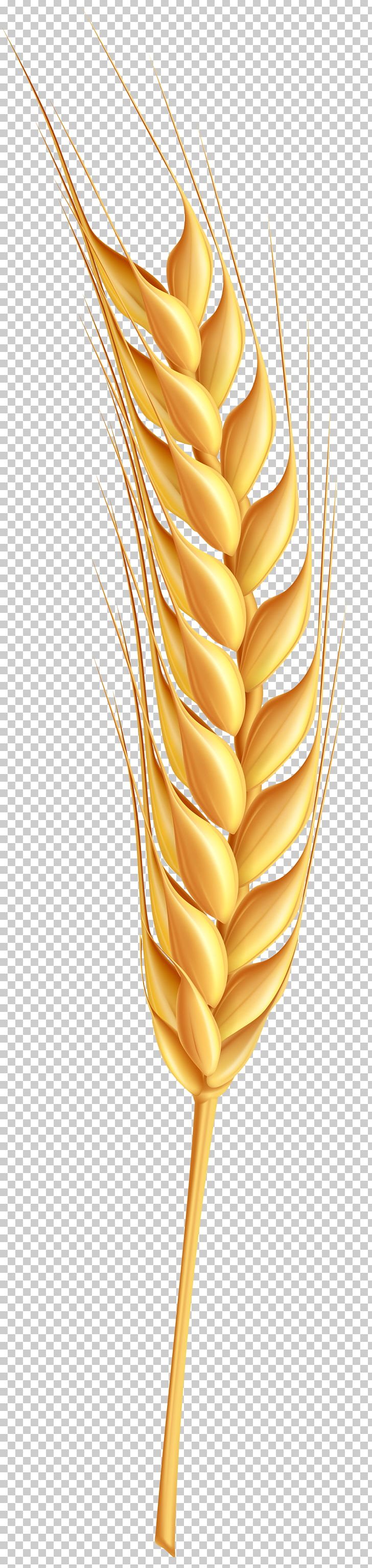 Wheat PNG, Clipart, Bitmap, Cereal, Clip Art, Commodity, Computer Icons Free PNG Download