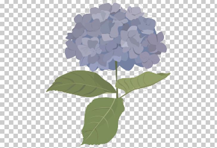 French Hydrangea PNG, Clipart, Art, Computer Icons, Cornales, East Asian Rainy Season, Floral Design Free PNG Download
