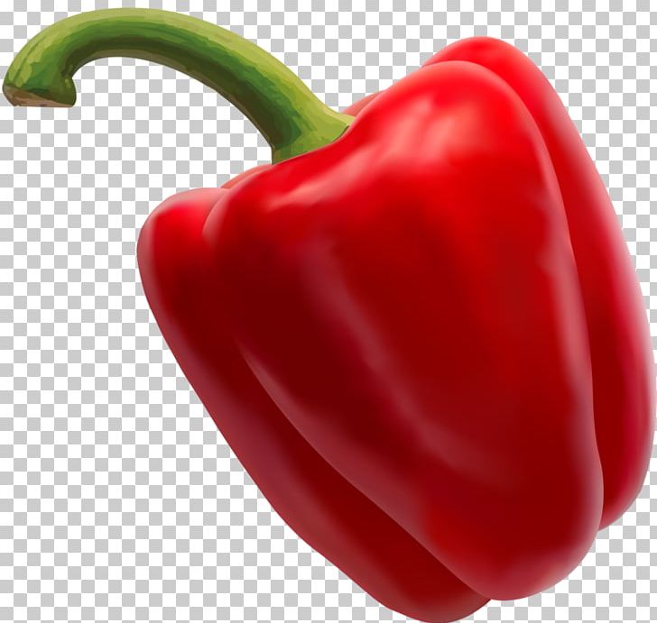 Habanero Piquillo Pepper Jalapeño Serrano Pepper Tabasco Pepper PNG, Clipart, Bell Pepper, Bell Peppers And Chili Peppers, Capsicum, Capsicum Annuum, Cayenne Pepper Free PNG Download