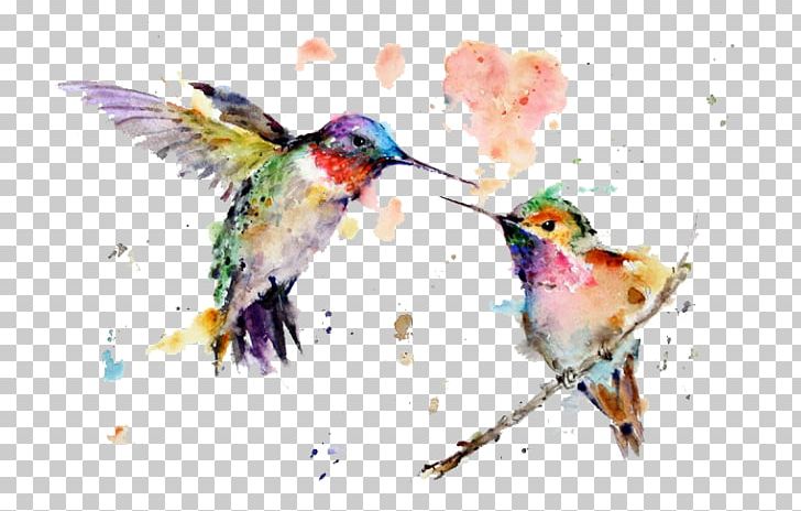 Hummingbird Watercolor Painting Art Drawing PNG, Clipart, Art, Beak, Bird, Canvas, Canvas Print Free PNG Download