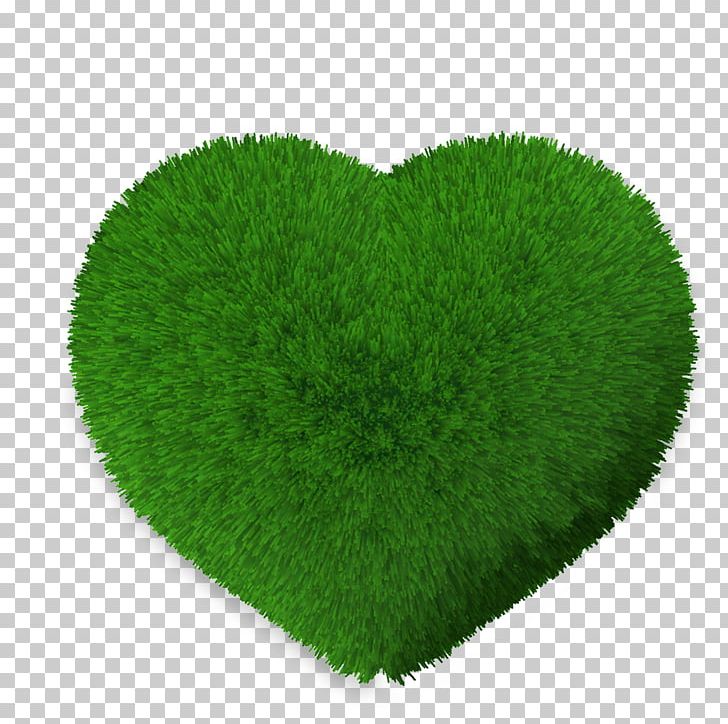 Lawn Green Leaf PNG, Clipart, Broken Heart, Geometric Shapes, Grass, Green, Heart Free PNG Download