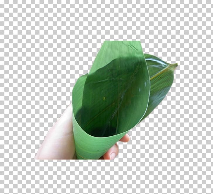 Zongzi Leaf Gratis PNG, Clipart, Autumn Leaves, Bamboe, Bamboo, Banana Leaf, Download Free PNG Download
