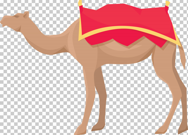 Arab Symbol PNG, Clipart, Arab Symbol, Biology, Camels, Dog, Dromedary Free PNG Download
