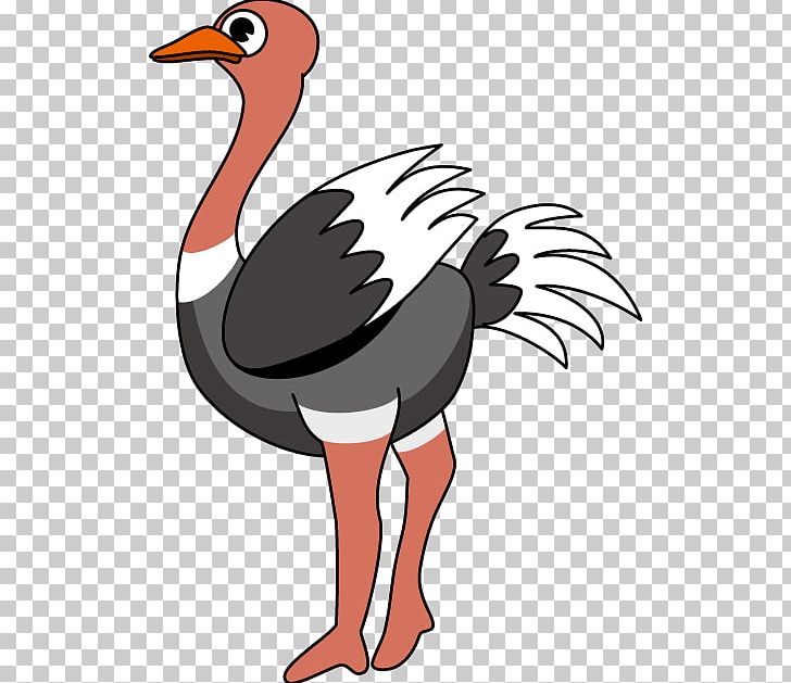 Common Ostrich Free Content PNG, Clipart, Art, Artwork, Beak, Bird, Cartoon Free PNG Download