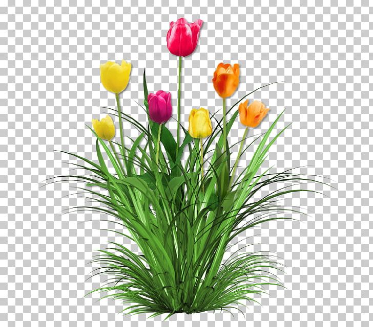 Tulip Cut Flowers Floral Design PNG, Clipart, Artificial Flower, Cut Flowers, Drawing, Fleur, Floral Design Free PNG Download