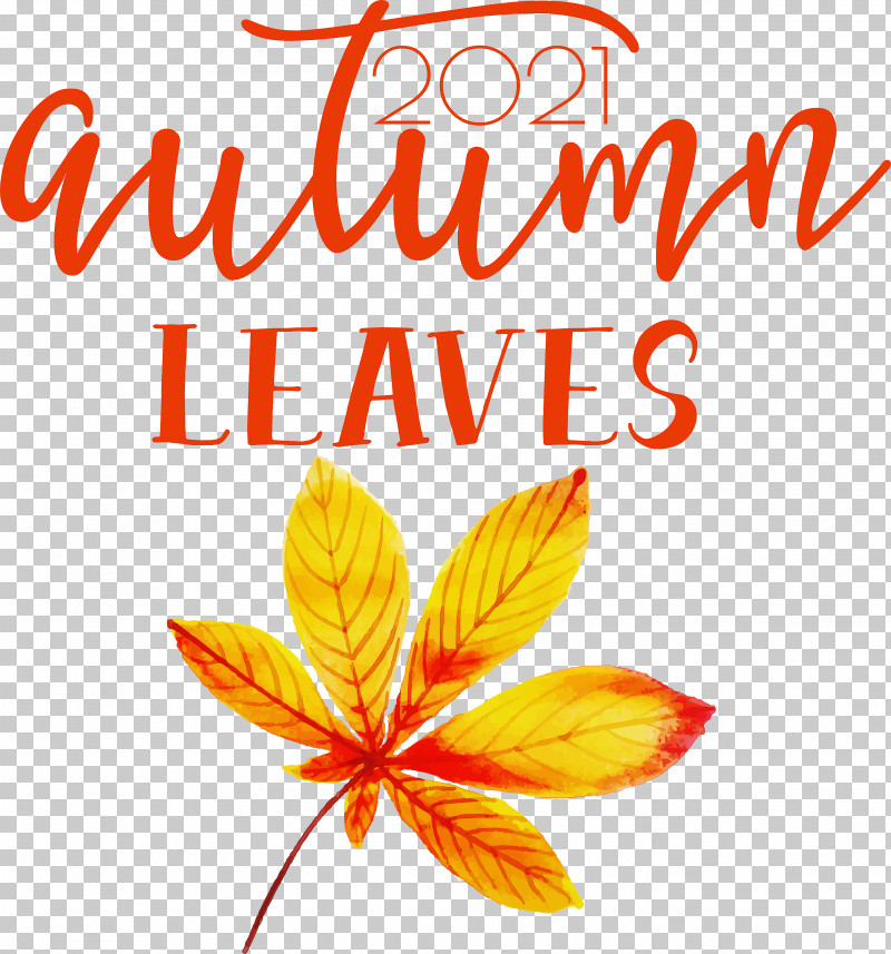 Autumn Leaves Autumn Fall PNG, Clipart, Autumn, Autumn Leaves, Biology, Cut Flowers, Fall Free PNG Download