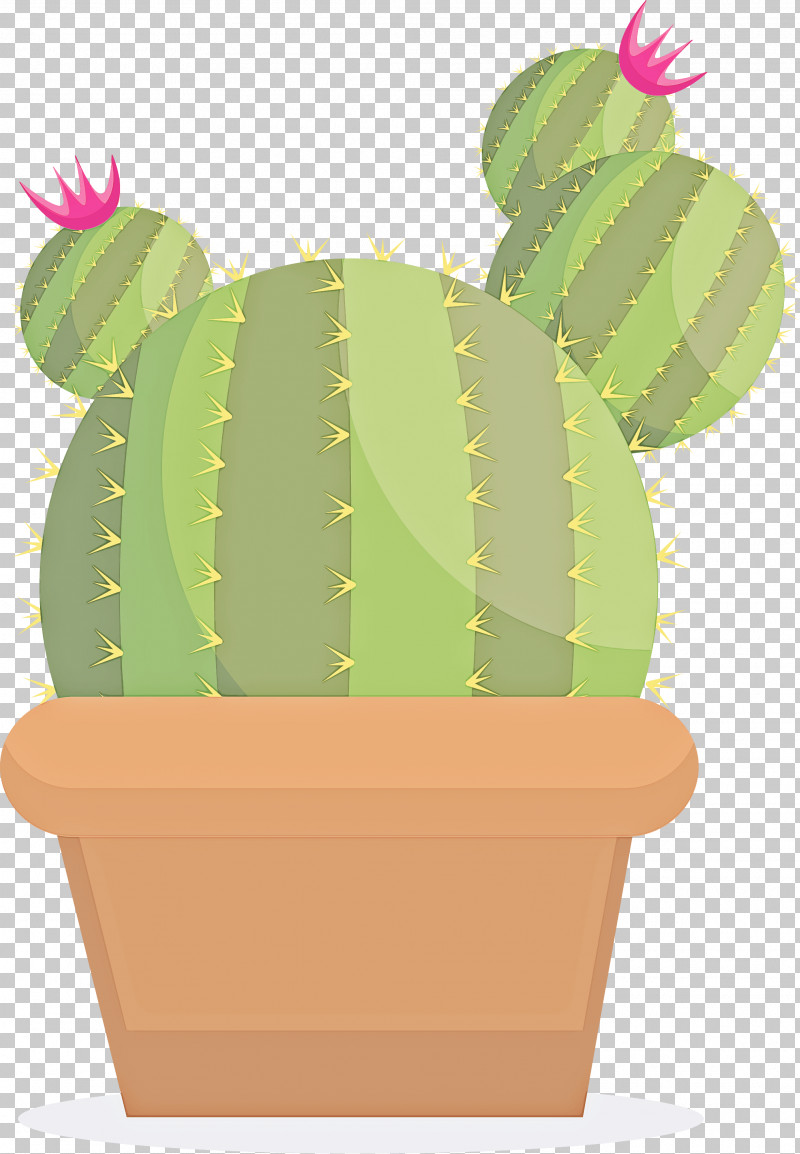 Cactus PNG, Clipart, Barbary Fig, Cactus, Caryophyllales, Flower, Flowerpot Free PNG Download